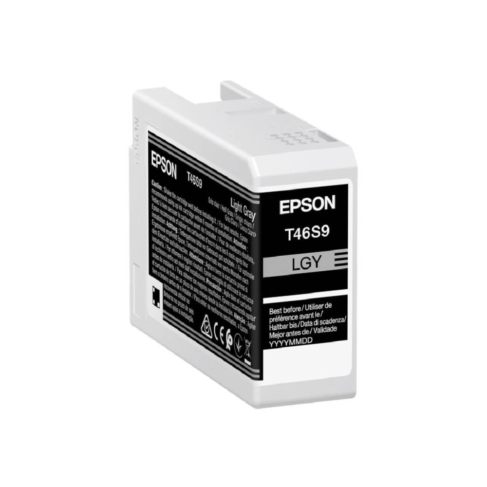 Original Epson Tintenpatrone C13T46S900 / T46S9 Foto Grau